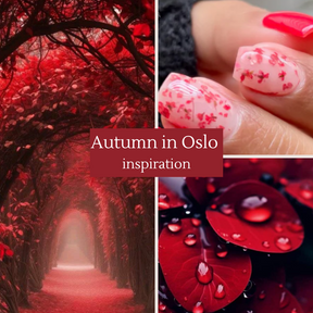 Autumn in Oslo Dippingpulver